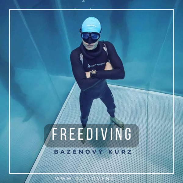 freediving kurz