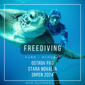 freediving